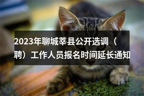 2023年聊城莘县公开选调（聘）工作人员报名时间延长通知 图片