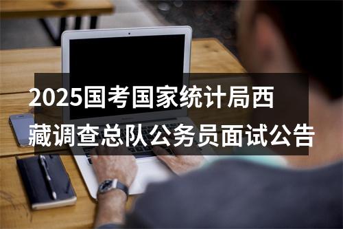 2025国考国家统计局西藏调查总队公务员面试公告 图片
