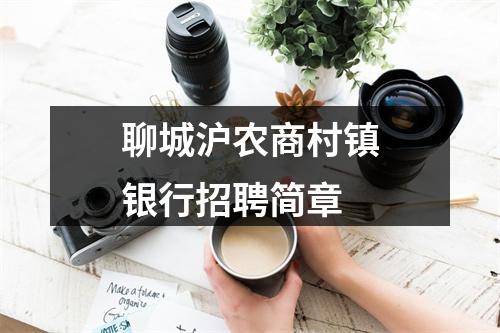 聊城沪农商村镇银行招聘简章 图片