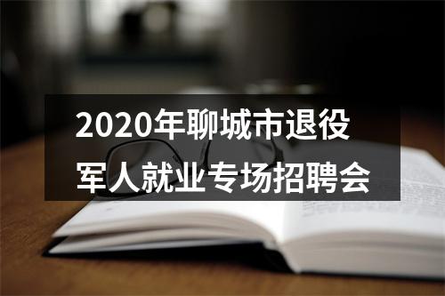 2020年聊城市退役军人就业专场招聘会 图片